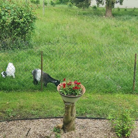 Maison Campagne Detente Thorigné-sur-Dué Exteriör bild