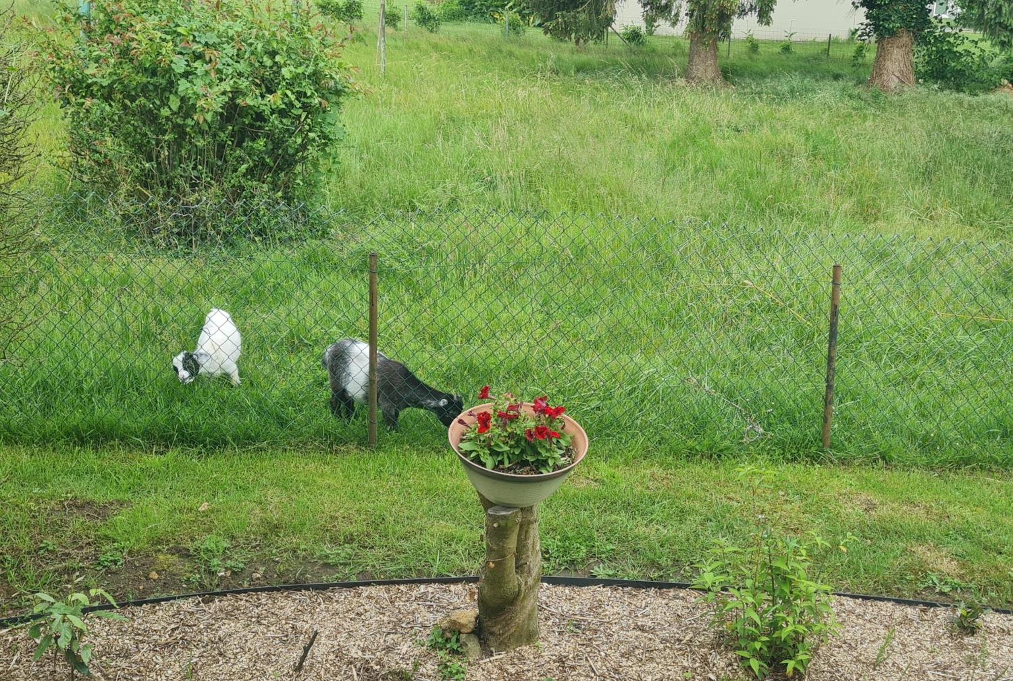 Maison Campagne Detente Thorigné-sur-Dué Exteriör bild